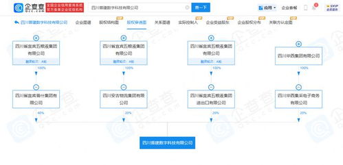 五糧液聯手華西集團成立2億元新公司，區塊鏈技術成核心經營范圍